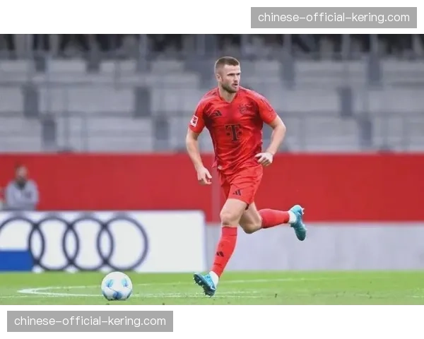 从霍芬海姆青训到国家队:拜仁小将帕夫洛维奇的四级跳跃 从霍芬海姆青训到国家队:拜仁小将帕夫洛维奇的四级跳跃